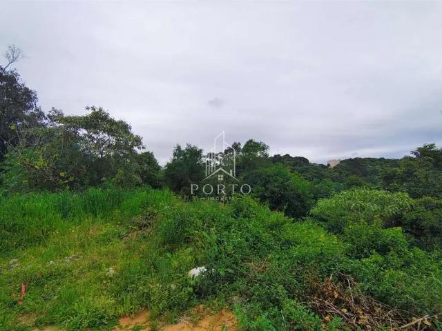 Terreno / Lote para Venda em Caxias do Sul/RS Desvio Rizzo