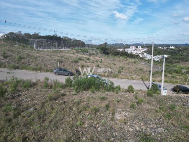 Terreno / Lote para Venda em Caxias do Sul/RS Desvio Rizzo