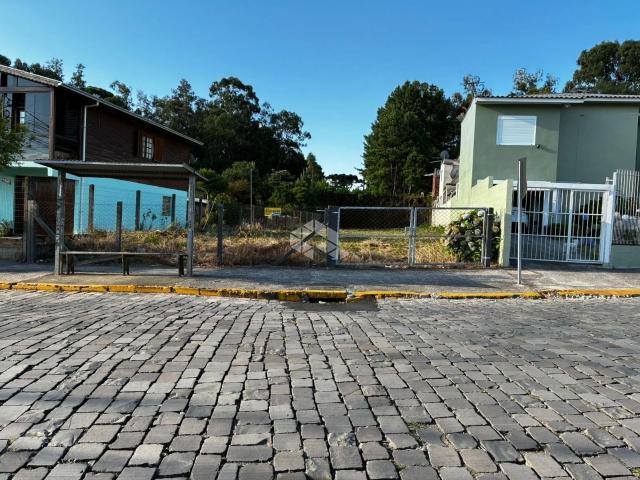 Terreno / Lote para Venda em Caxias do Sul/RS Desvio Rizzo