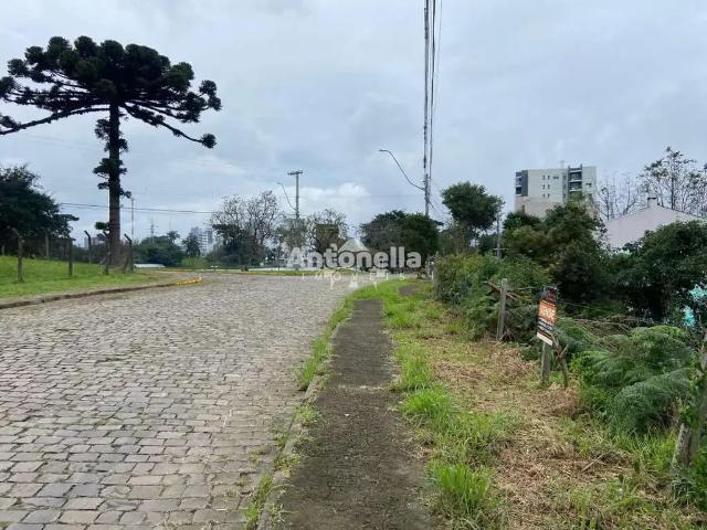 Terreno / Lote para Venda em Caxias do Sul/RS Desvio Rizzo