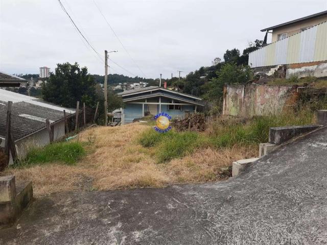 Terreno / Lote para Venda em Caxias do Sul/RS Desvio Rizzo
