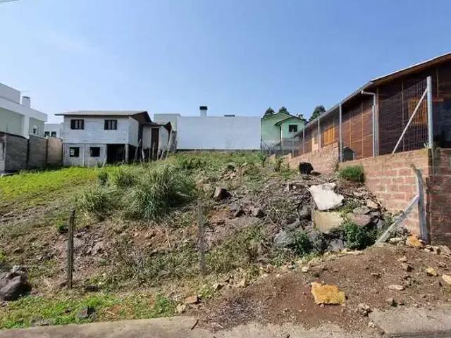 Terreno / Lote para Venda em Caxias do Sul/RS Desvio Rizzo