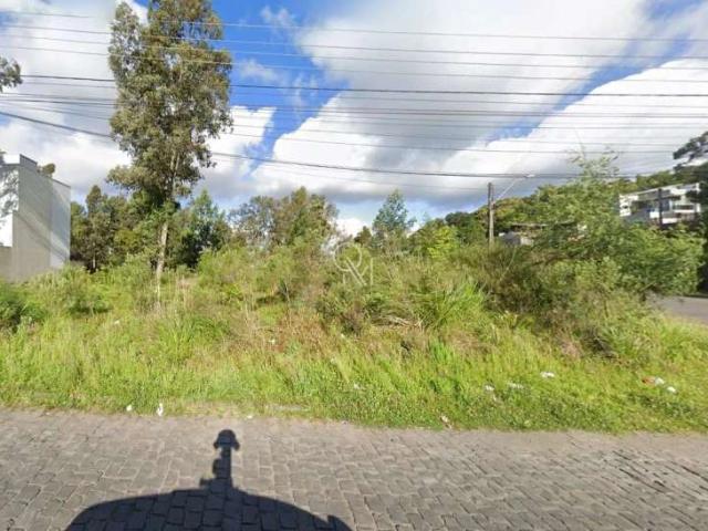 Terreno / Lote para Venda em Caxias do Sul/RS Desvio Rizzo