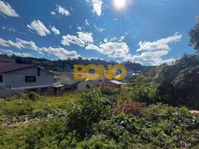 Terreno / Lote para Venda em Caxias do Sul/RS Desvio Rizzo