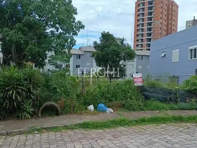 Terreno / Lote para Venda em Caxias do Sul/RS Desvio Rizzo