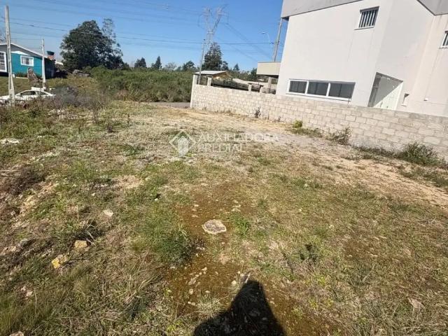 Terreno / Lote para Venda em Caxias do Sul/RS Diamantino