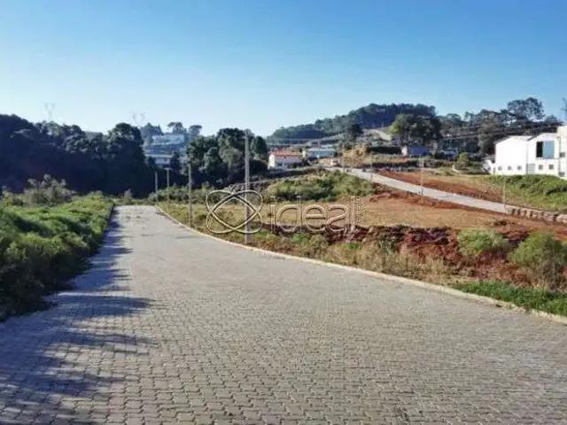 Terreno / Lote para Venda em Caxias do Sul/RS Diamantino