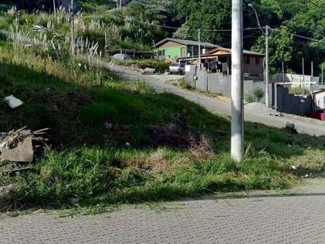 Terreno / Lote para Venda em Caxias do Sul/RS Esplanada