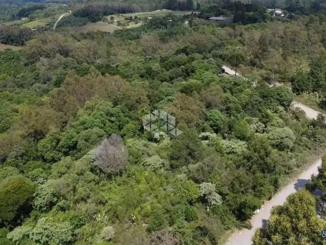 Terreno / Lote para Venda em Caxias do Sul/RS Forqueta