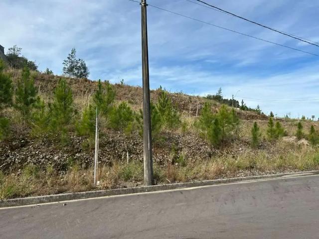 Terreno / Lote para Venda em Caxias do Sul/RS Forqueta