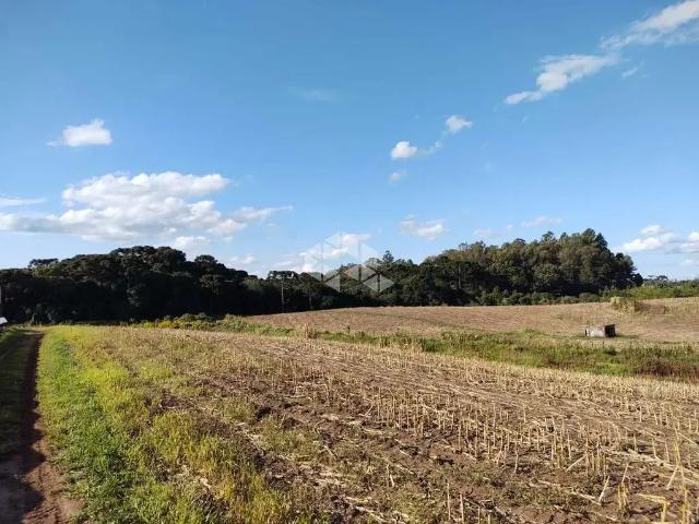 Terreno / Lote para Venda em Caxias do Sul/RS Forqueta