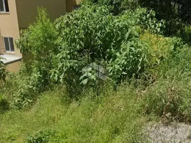 Terreno / Lote para Venda em Caxias do Sul/RS Forqueta