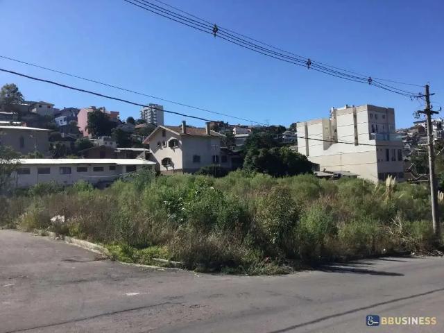 Terreno / Lote para Venda em Caxias do Sul/RS Kayser