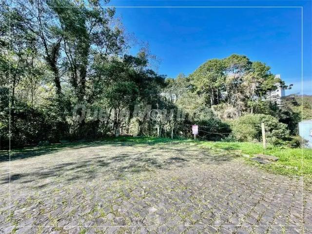 Terreno / Lote para Venda em Caxias do Sul/RS Jardim América