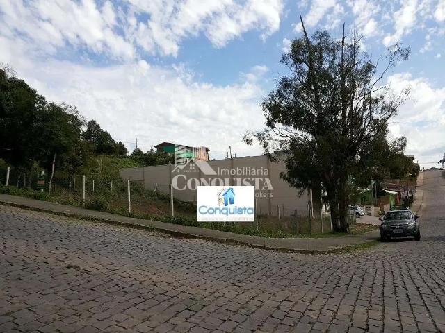 Terreno / Lote para Venda em Caxias do Sul/RS Jardim Eldorado