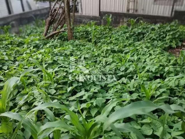 Terreno / Lote para Venda em Caxias do Sul/RS Jardim Iracema