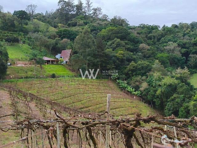 Terreno / Lote para Venda em Caxias do Sul/RS Loreto