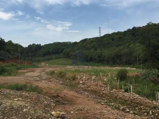 Terreno / Lote para Venda em Caxias do Sul/RS Linha 40