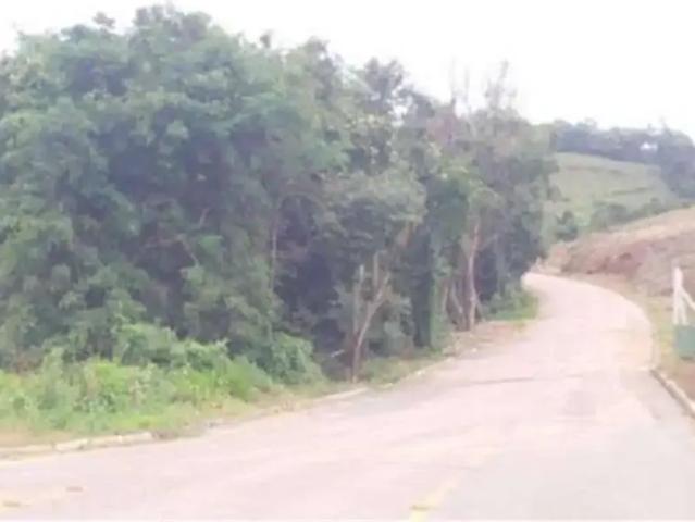 Terreno / Lote para Venda em Caxias do Sul/RS Linha Feijó