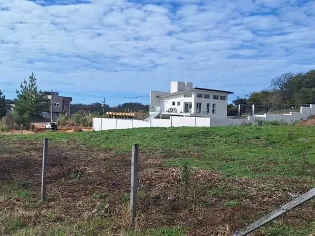 Terreno / Lote para Venda em Caxias do Sul/RS Monte Bérico