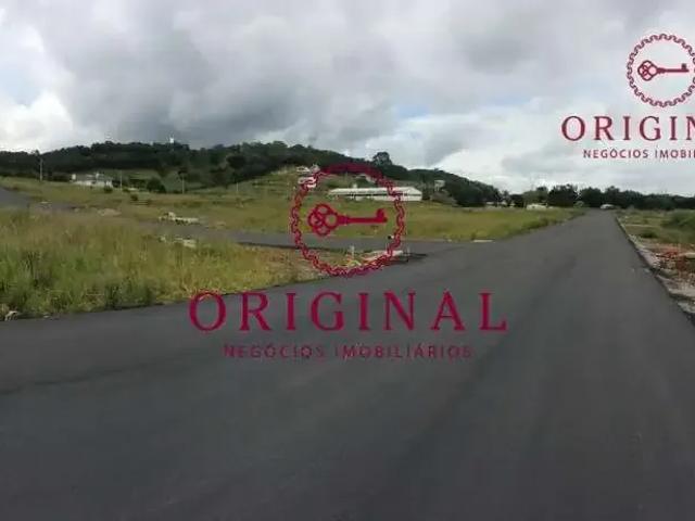 Terreno / Lote para Venda em Caxias do Sul/RS Monte Bérico
