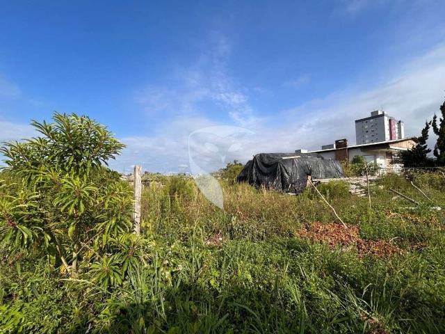 Terreno / Lote para Venda em Caxias do Sul/RS Morada dos Alpes