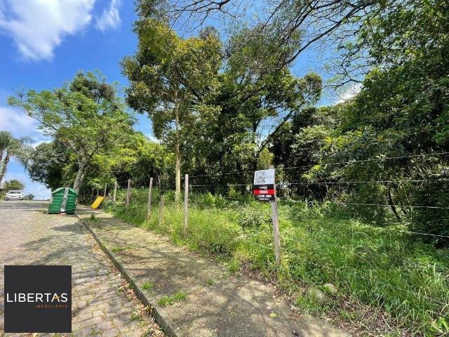 Terreno / Lote para Venda em Caxias do Sul/RS Marechal Floriano