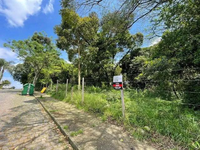 Terreno / Lote para Venda em Caxias do Sul/RS Marechal Floriano