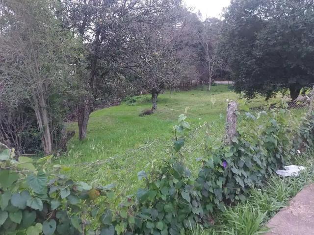 Terreno / Lote para Venda em Caxias do Sul/RS Marechal Floriano
