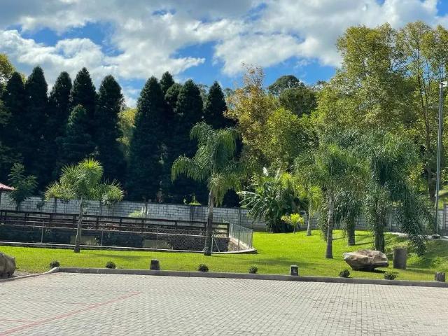 Terreno / Lote para Venda em Caxias do Sul/RS Nossa Senhora da Saúde