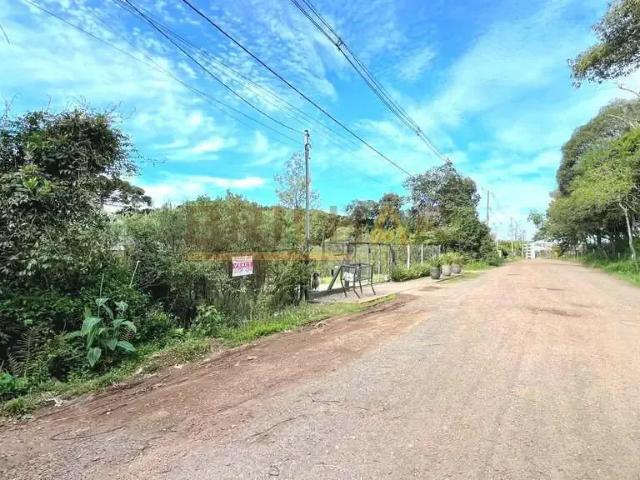 Terreno / Lote para Venda em Caxias do Sul/RS Nossa Senhora da Saúde