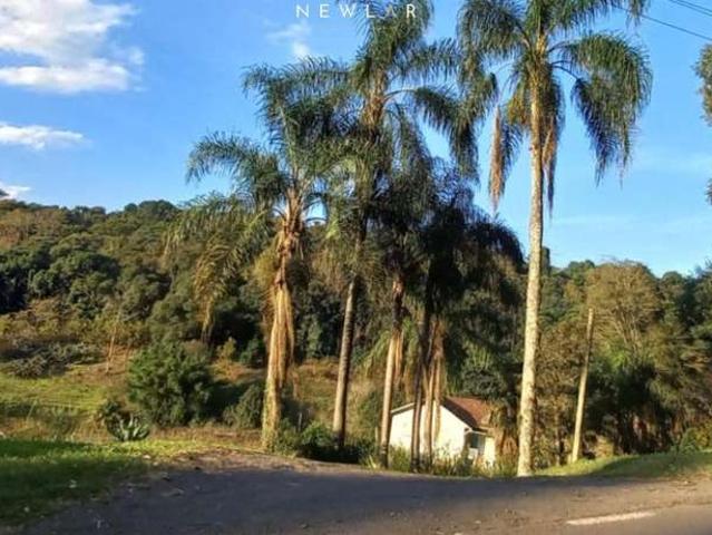 Terreno / Lote para Venda em Caxias do Sul/RS Nossa Senhora da Saúde