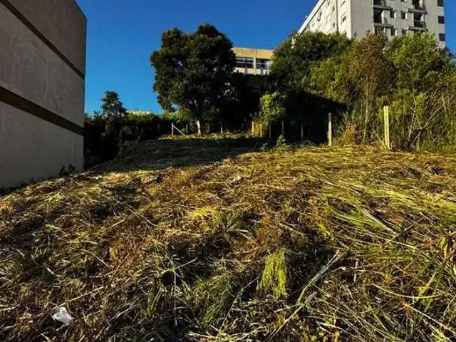 Terreno / Lote para Venda em Caxias do Sul/RS Nossa Senhora da Saúde