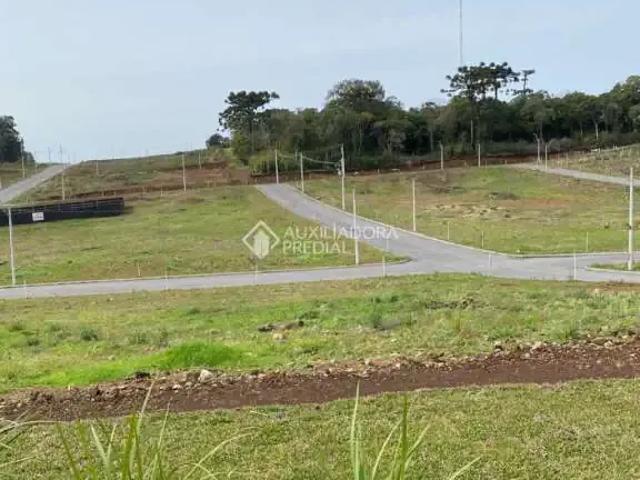 Terreno / Lote para Venda em Caxias do Sul/RS Nossa Senhora da Saúde