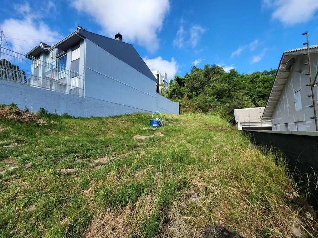 Terreno / Lote para Venda em Caxias do Sul/RS Nossa Senhora da Saúde