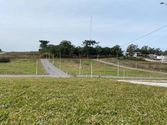 Terreno / Lote para Venda em Caxias do Sul/RS Nossa Senhora da Saúde