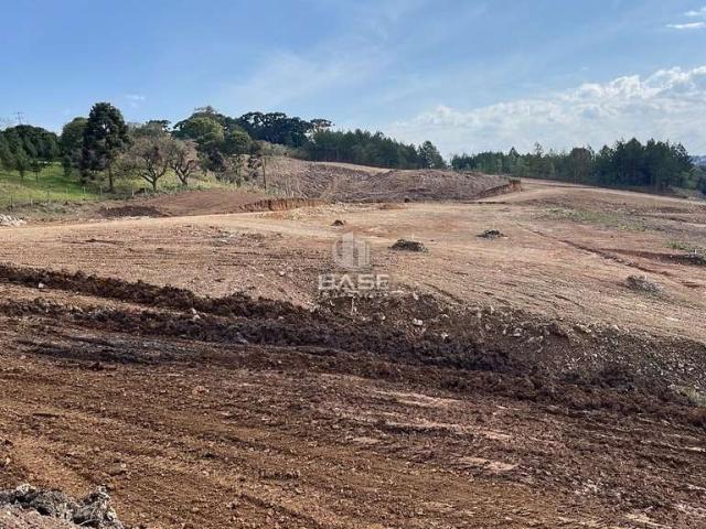 Terreno / Lote para Venda em Caxias do Sul/RS Nossa Senhora da Saúde