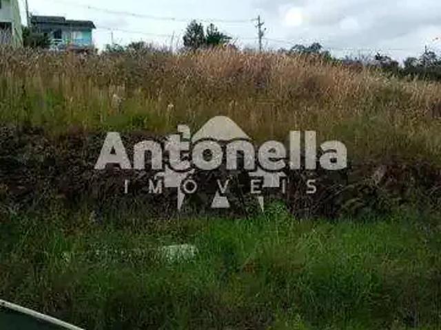 Terreno / Lote para Venda em Caxias do Sul/RS Nossa Senhora das Graças