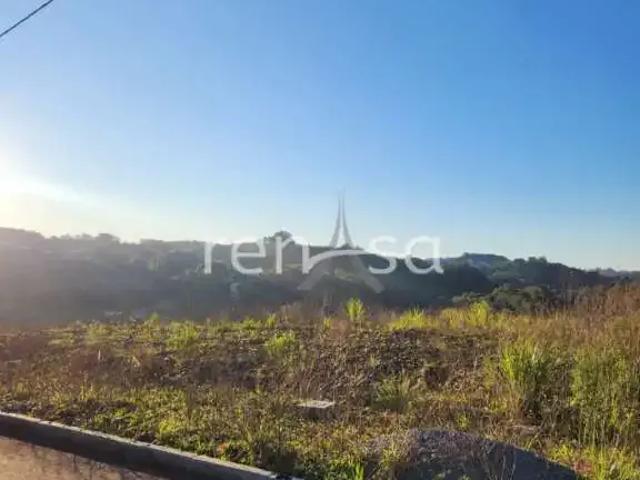 Terreno / Lote para Venda em Caxias do Sul/RS Ana Rech