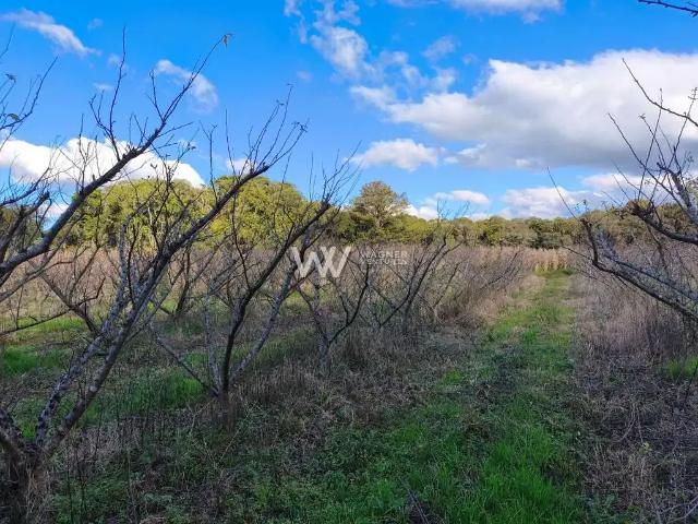 Terreno / Lote para Venda em Caxias do Sul/RS Nossa Senhora das Graças