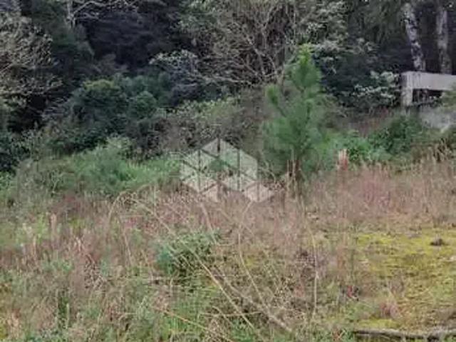 Terreno / Lote para Venda em Caxias do Sul/RS Nossa Senhora das Graças