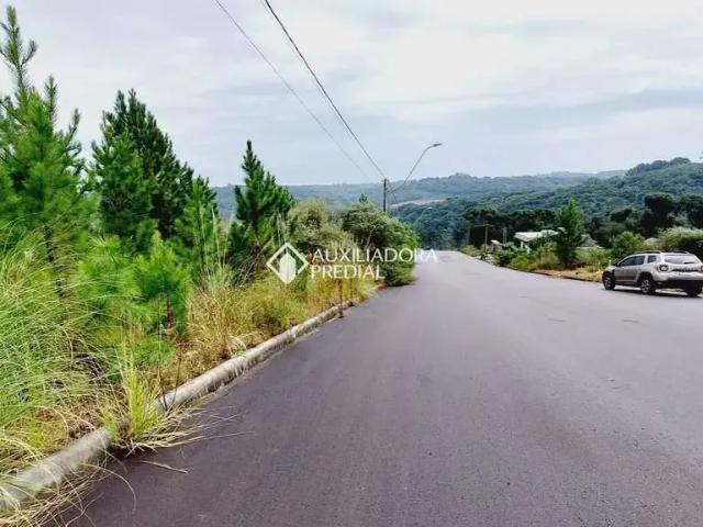 Terreno / Lote para Venda em Caxias do Sul/RS Nossa Senhora das Graças