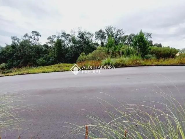 Terreno / Lote para Venda em Caxias do Sul/RS Nossa Senhora das Graças