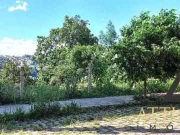Caxias do Sul, Balneário Piçarras
