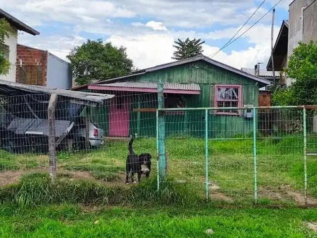 Terreno / Lote para Venda em Caxias do Sul/RS Nossa Senhora de Fátima