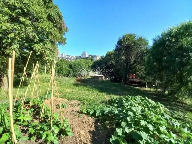 Terreno / Lote para Venda em Caxias do Sul/RS Nossa Senhora de Lourdes