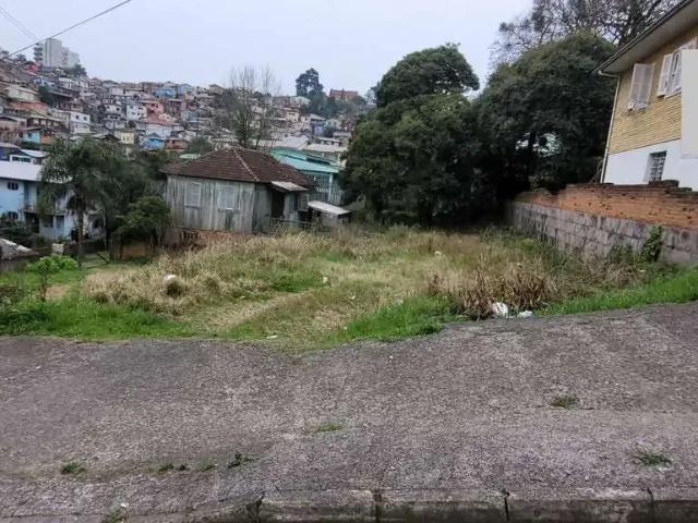 Terreno / Lote para Venda em Caxias do Sul/RS Nossa Senhora de Lourdes