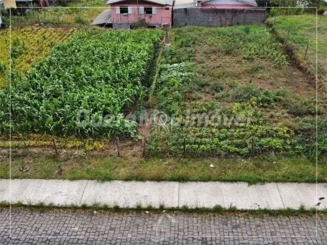 Terreno / Lote para Venda em Caxias do Sul/RS Nossa Senhora do Rosário