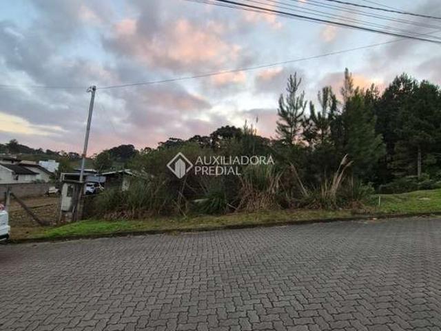 Terreno / Lote para Venda em Caxias do Sul/RS São Caetano