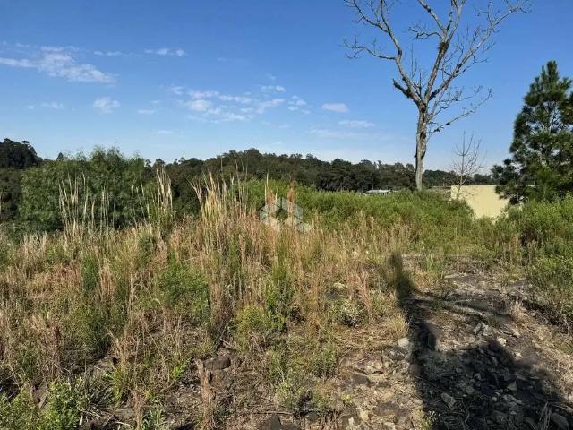 Terreno / Lote para Venda em Caxias do Sul/RS São Caetano